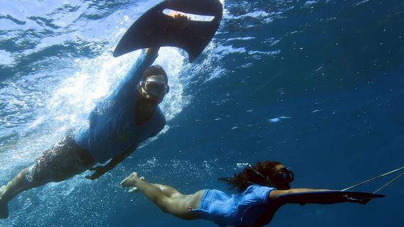 Underwater boat tour with lunch
