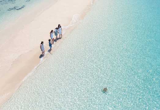 Whitehaven Beach and Hill Inlet Lookout Snorkelling Cruise: What to Expect