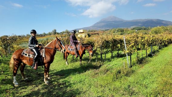 Lawatan Berpandu Pompeii & Menunggang Kuda di Vesuvius dengan Makan Tengahari