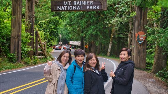 Escursione di un giorno al Monte Rainier da Seattle