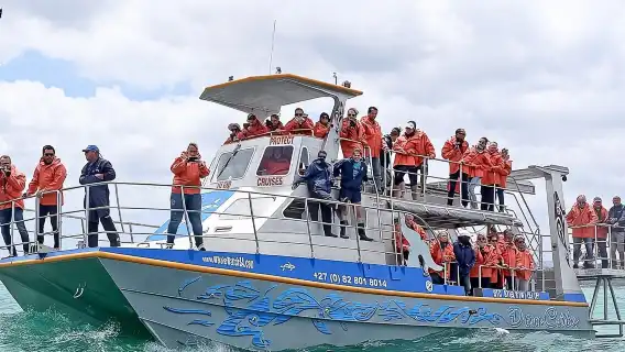 Marine Big 5 Safari: ขับรถเอง