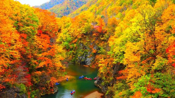 日本北海道定山溪溫泉+支笏湖【私家包車/VIP定制】