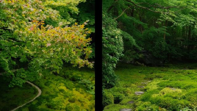 日本大阪-黑門市場-通天閣-心齋橋-道頓堀-經典經典+購物。