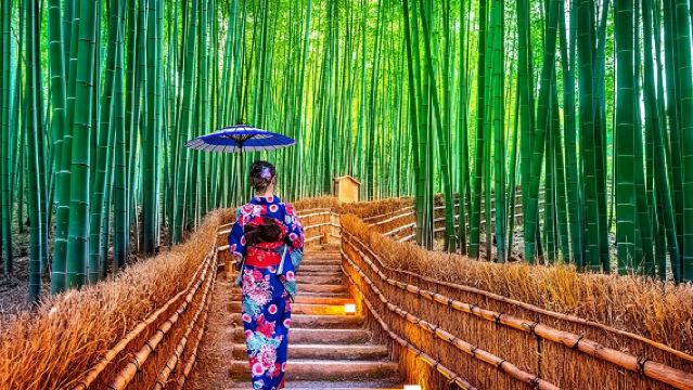 Private Tour Kyoto-Nara w/Hotel Pick Up & Drop off from Kyoto