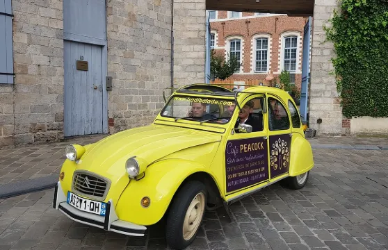 30分鐘里爾私人導覽之旅（乘坐2CV敞篷車）