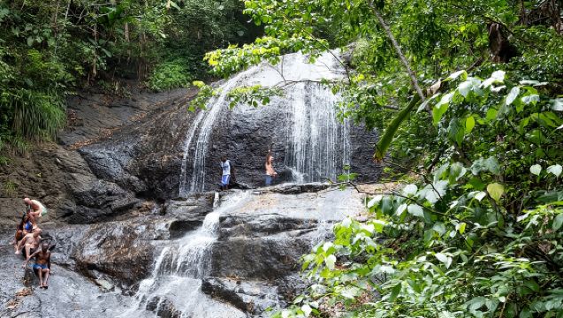 Rainforest Hike and Waterfall Safari