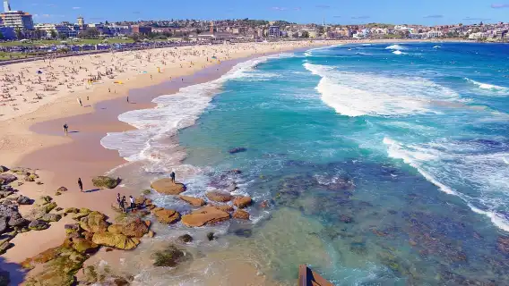 雪倫奇遇記：動物園萌趣、歌劇院光影與邦迪海灘的藍白狂想