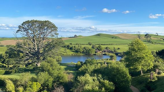From Auckland: Hobbiton Movie Set and Waitomo Caves Tour