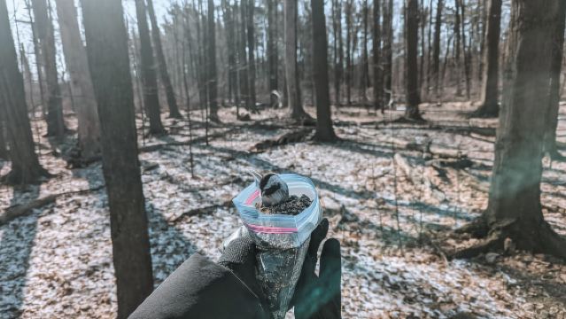 Ottawa: Guided Nature Walk & Wildlife Tour with Hotel Pickup