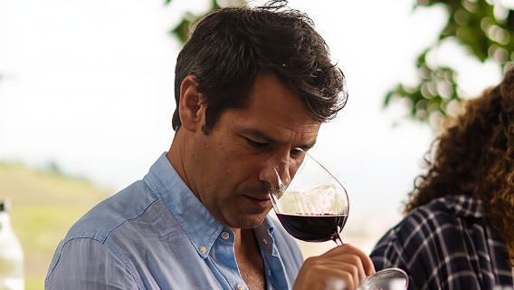 Valle del Duero: Visita privada y cata guiada de vino y aceite de oliva