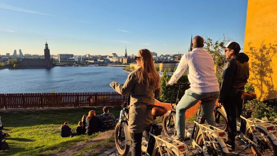 Estocolmo: Recorrido en bicicleta eléctrica