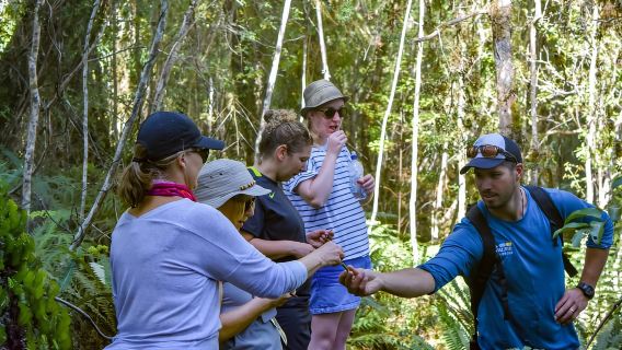 Franz-Josef-Gletscher: 2,5-stündige Bootsfahrt und Wanderung auf dem Lake Mapourika