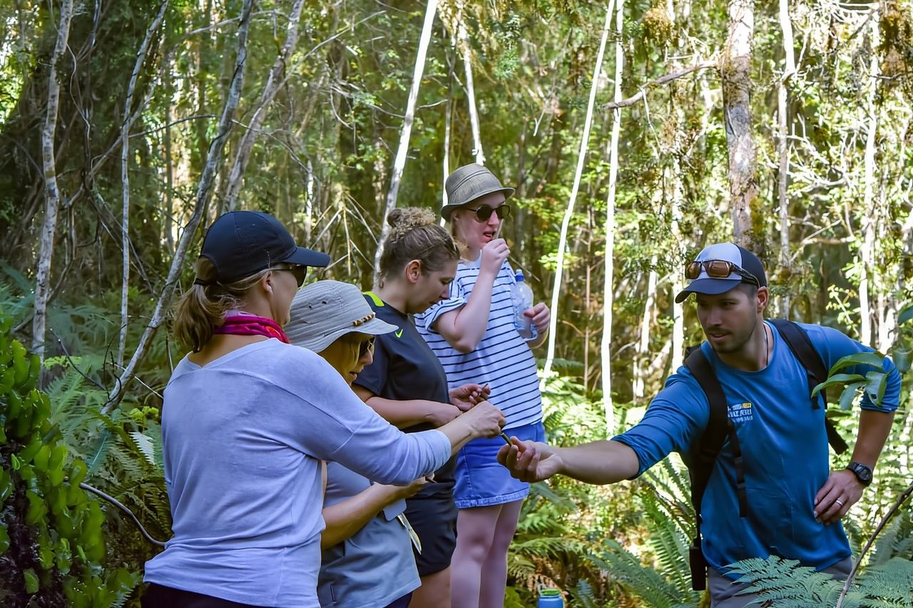 Franz Josef Glacier: 2.5-Hour Lake Mapourika Cruise and Walk