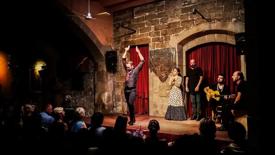 Barcelona: Tur Kota & Pertunjukan Flamenco dengan Anggur & Tapas
