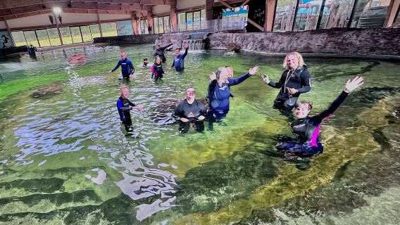 Anna Bay: Irukandji Entry Pass with Reef Shark Snorkel