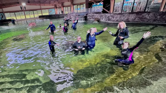 안나 베이: 이루칸지 입장권 및 리프 샤크 스노클링