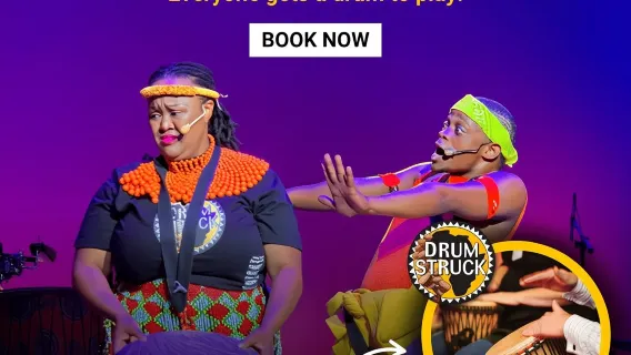 Cape Town: Silvermist Estate Wine Tasting & Drumstruck Show