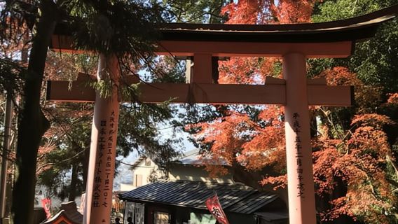 Inside of Fushimi Inari - exploring and lunch with locals