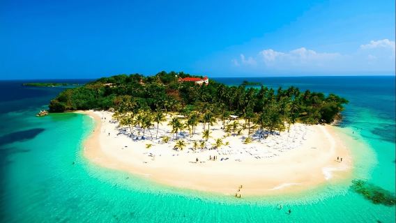 Depuis Samaná : observation des baleines et excursion à l'île de Cayo Levantado