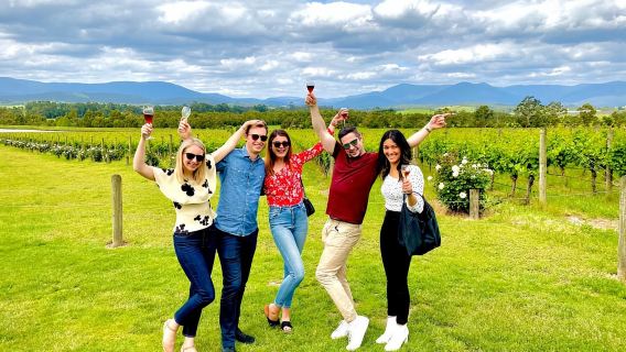 Melbourne: Yarra Valley Wine, Gin, Cheese/Fruit & Choc Tour