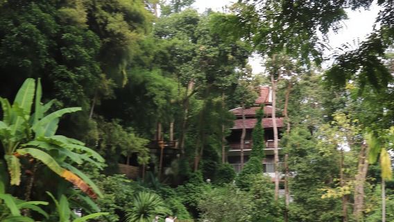 Halbtägige Morgentour durch Wat Pha Lat und Wat Phra That Doi Suthep