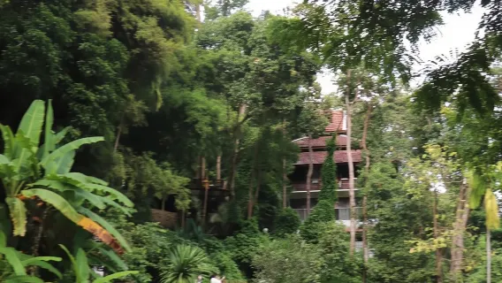 Half Day Morning Wat Pha Lat & Wat Phra That Doi Suthep Tour