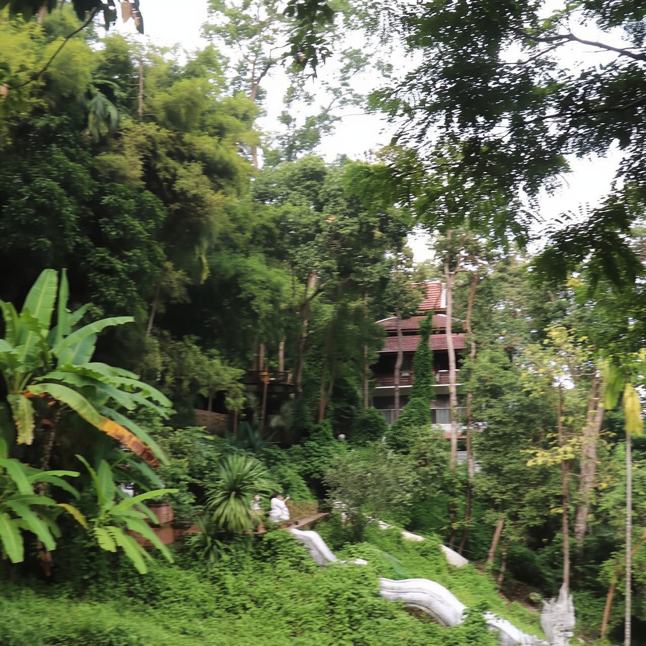 Halbtägige Morgentour durch Wat Pha Lat und Wat Phra That Doi Suthep