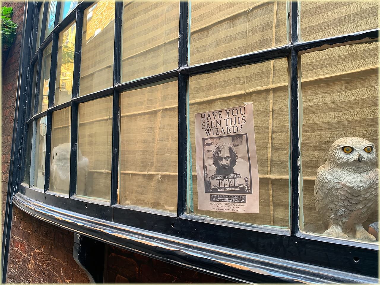 Magical Movies: London Harry Potter Tour