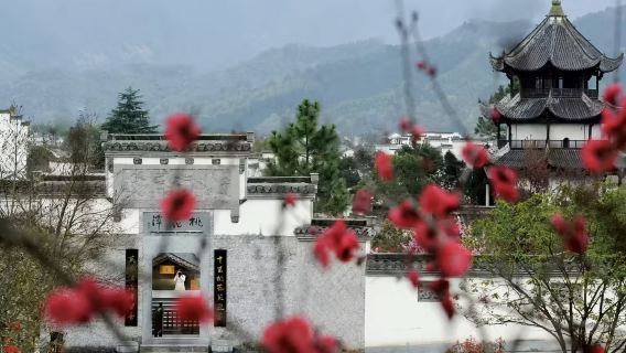 黃山包車|太平湖+桃花潭景區一日遊 ·上門接送|純玩無購物
