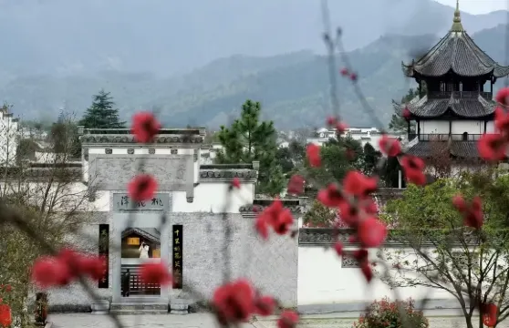 黃山包車|太平湖+桃花潭景區一日遊 ·上門接送