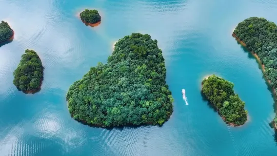 Jiangxi - Todo o território (Nanchang, Ganzhou, Wuyuan) | Guia em chinês/inglês (outros idiomas disponíveis - consulte nosso atendimento) | Tradução para feiras | Tradução para inspeções comerciais | Personalização de viagens com transporte privativo