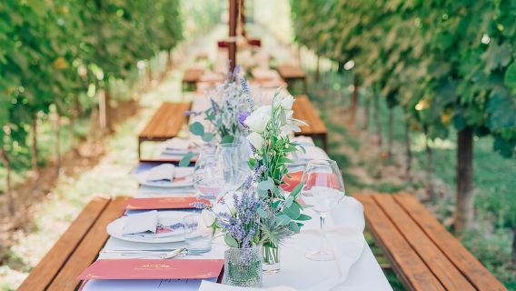 San Gimignano Romantic Dinner in the Vineyards