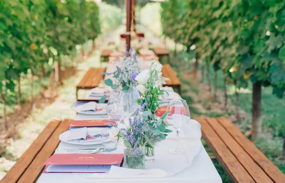 聖吉米尼亞諾葡萄園浪漫晚餐