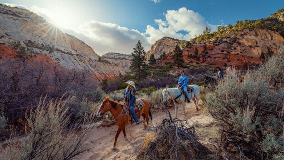 Small-Group East Zion White Mountain Horseback Ride