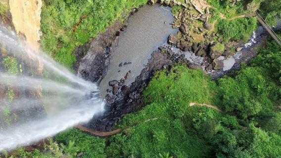 Australia Spring Creek National Park Half Day Tour (Departure from Gold Coast) 18517