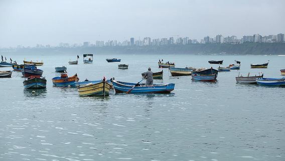 ทัวร์ชมวัฒนธรรมชาวประมงและเซบิเช่แห่งเมืองลิมา