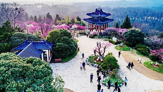Private In-Depth Day Tour of Nanjing Purple Mountain with Lunch