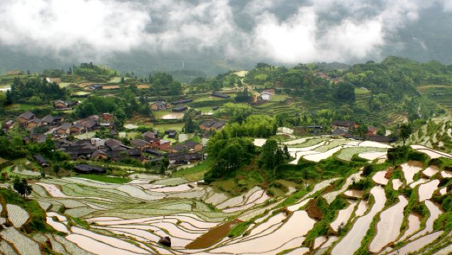 雲和梯田景區+古堰畫鄉旅遊度假區一日遊 麗水市內接駁服務（不含門票）