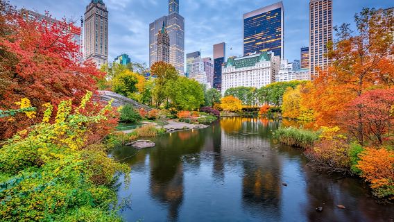 Private Central Park walking tour