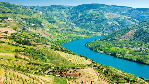 Visita guidata della valle del Douro con degustazione di vini, pranzo e crociera sul fiume da Porto