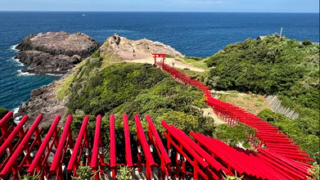 門司港+唐戶市場+角島大橋+元乃隅神社【北九州+山口】