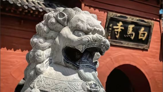 Luoyang Wangcheng + White Horse Temple + Luoyang Museum + National Flower Garden + private charter 1-day tour - English service available