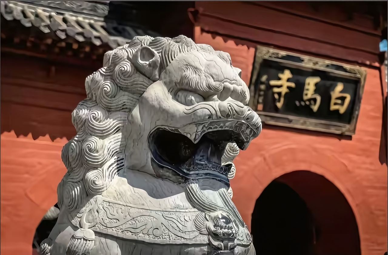 Luoyang Wangcheng + White Horse Temple + Luoyang Museum + National Flower Garden + private charter 1-day tour - English service available