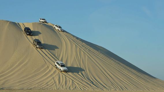 Doha, Qatar: Desert Safari, Dune Bashing (Private/Sharing Safari)