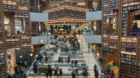 清溪川+青瓦台+廣藏市場+東大門+南山公園一日遊