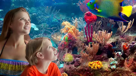 Xcaret Park Entry Tickets with Cultural Night Show Included