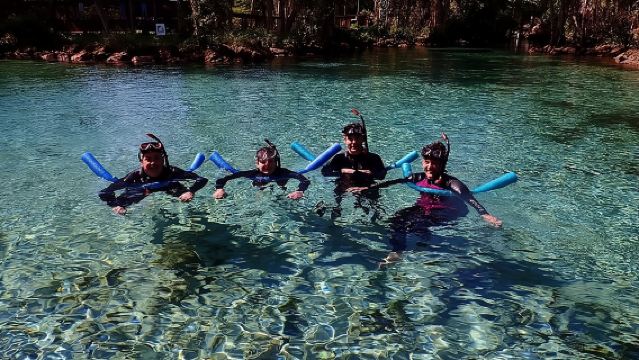 Guided Small Group Manatee Snorkeling Tour with In-Water Photographer