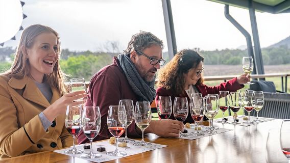 Tour pluripremiato di vini e formaggi nella Hunter Valley da Sydney