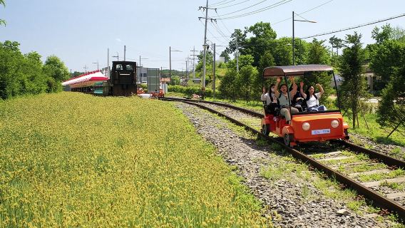 Gyeonggi-do| Gangchon Railway Theme Park + Alpaca World one-day tour