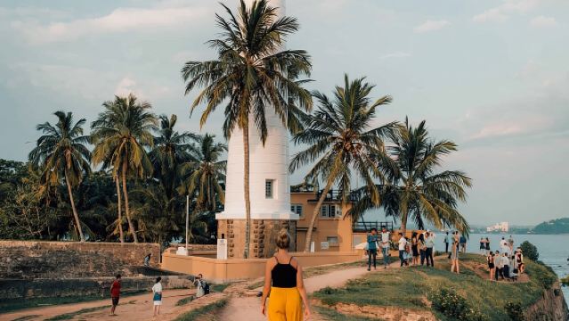 Gita turistica di un giorno nel sud dello Sri Lanka partendo da Colombo e Negombo